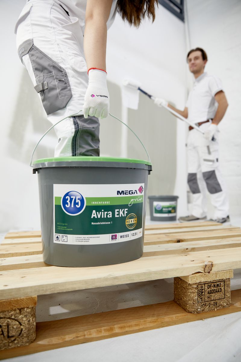 Mit Mega Grün für eine bessere Zukunft 