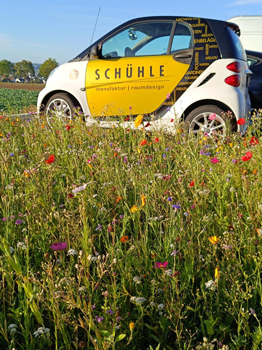 Auf die Zukunft gebaut