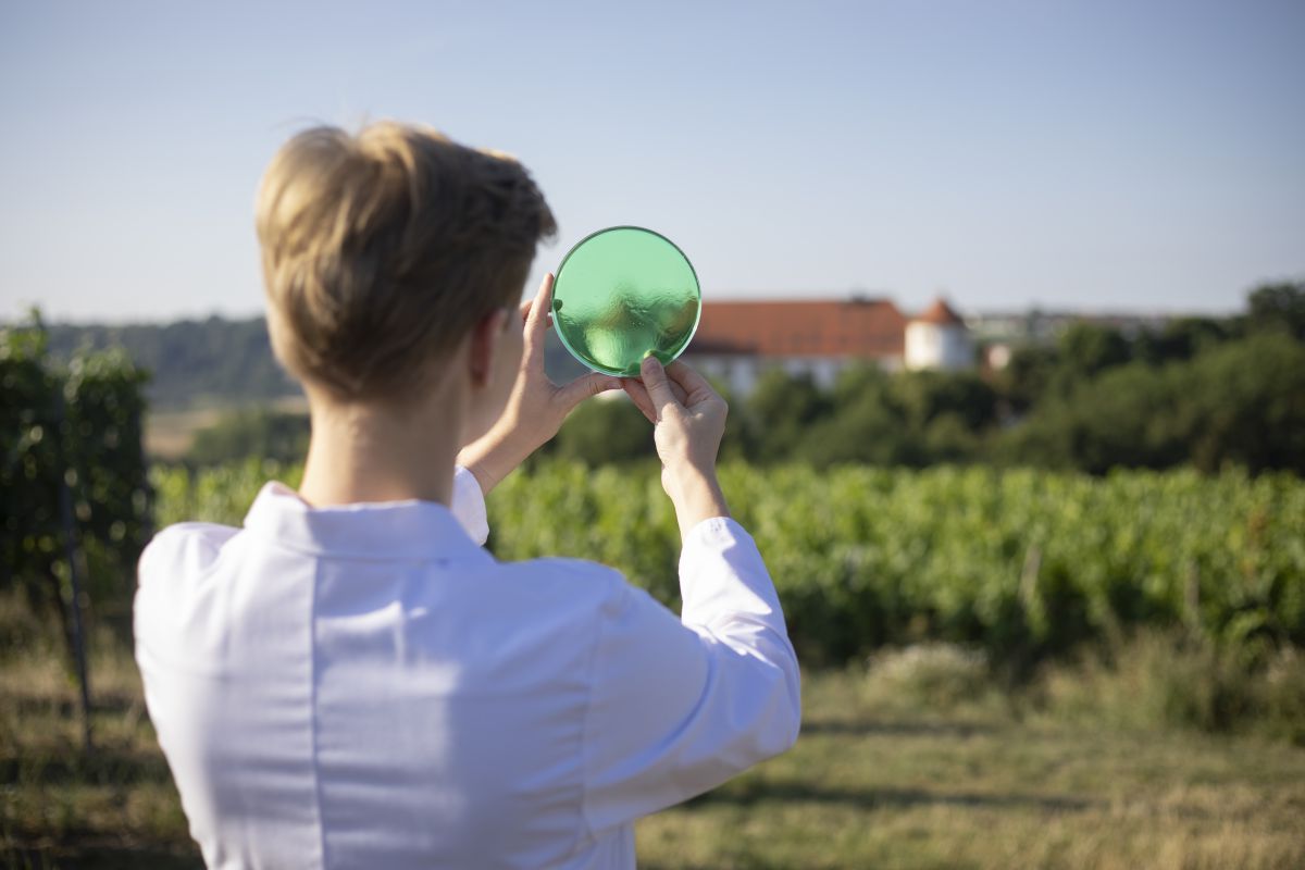 Hohenstein schafft Transparenz